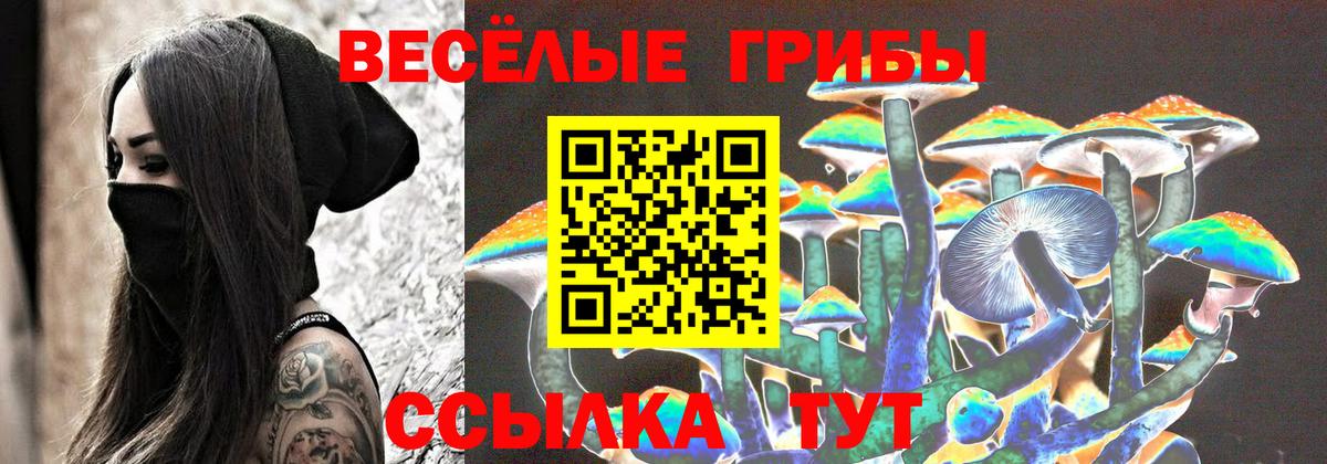 Псилоцибиновые грибы Psilocybe  Вход с VPN  Клин 