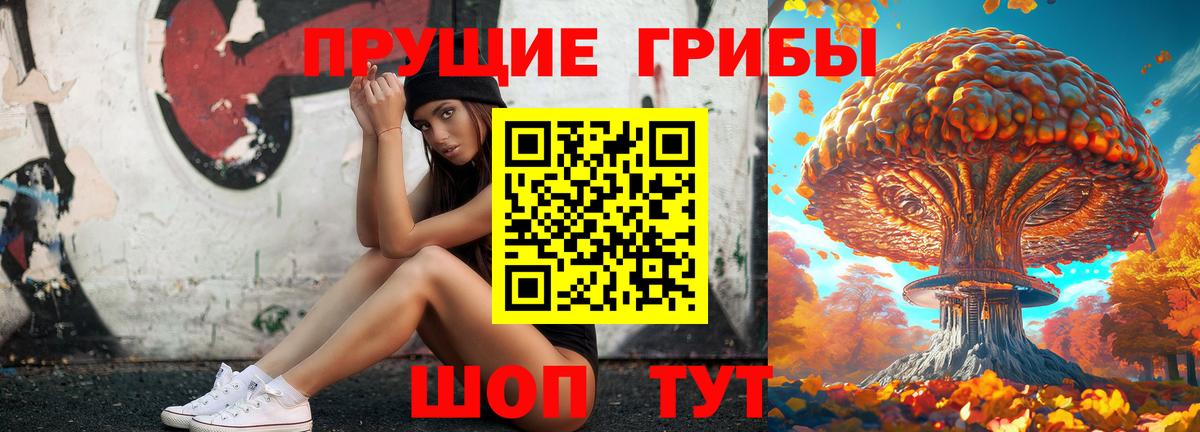 Псилоцибиновые грибы GOLDEN TEACHER Клин